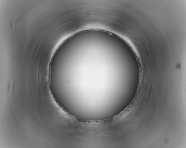 X0000091850815200709050934