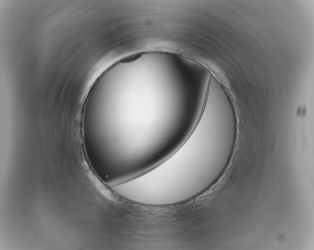 X0000091850816200709050934
