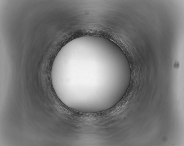 X0000091850817200709050933