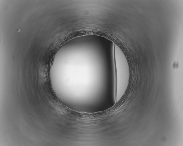X0000091850818200709050933