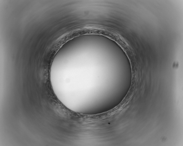 X0000091850821200709050933