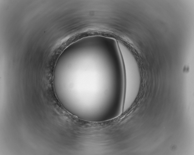 X0000091850822200709050933