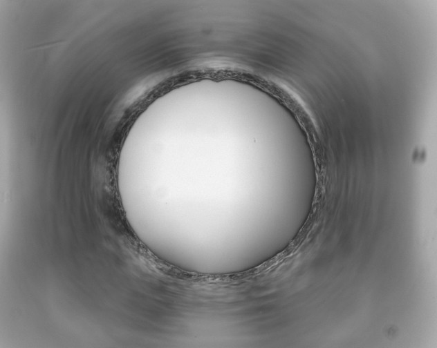 X0000091850823200709050933