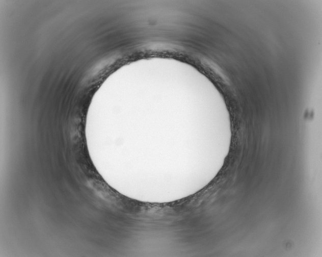 X0000091850824200709050933