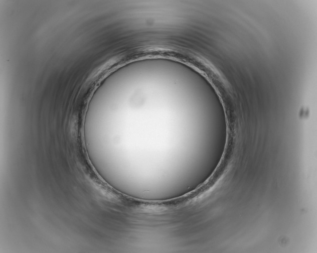 X0000091850825200709050933