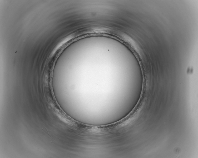 X0000091850827200709050934