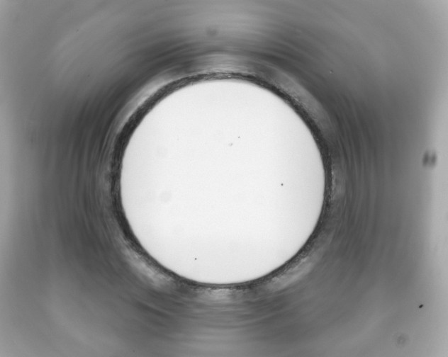 X0000091850828200709050934