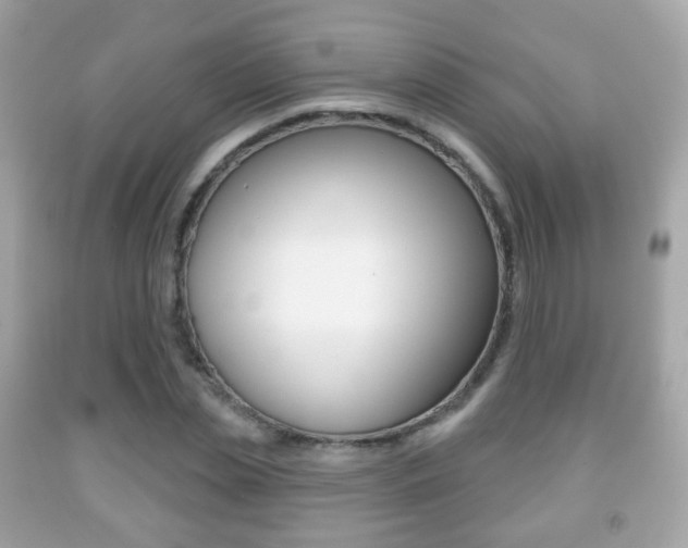 X0000091850829200709050934