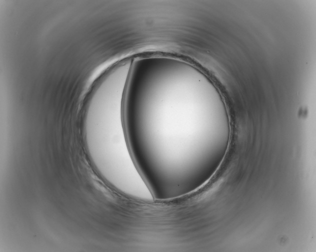 X0000091850830200709050934