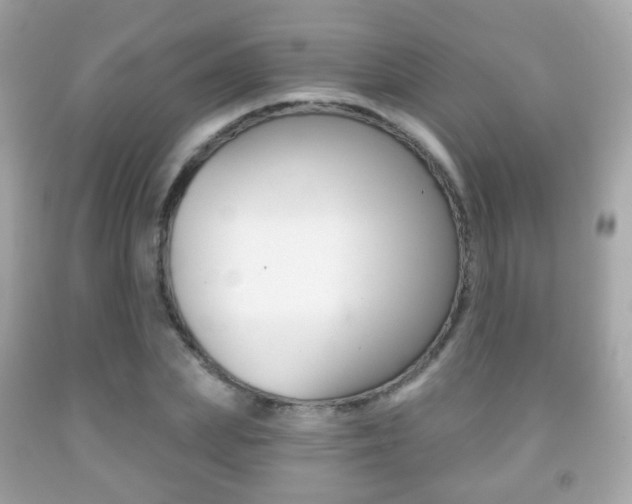 X0000091850831200709050934