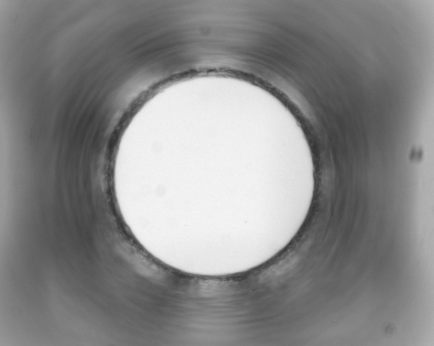 X0000091850832200709050934