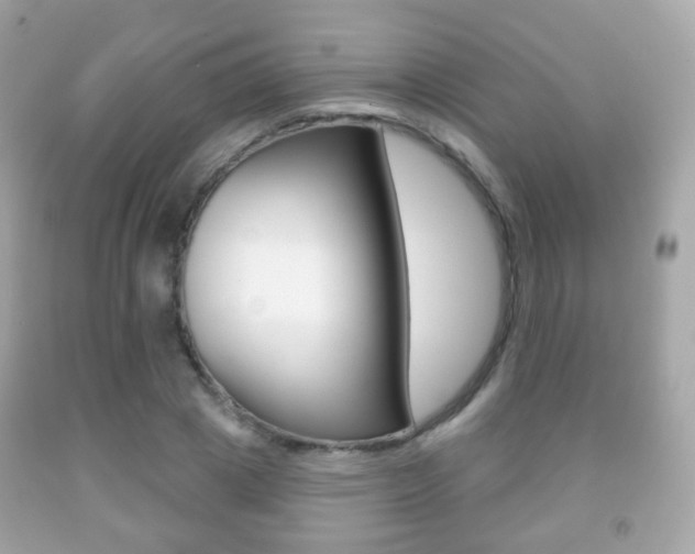 X0000091850833200709050934
