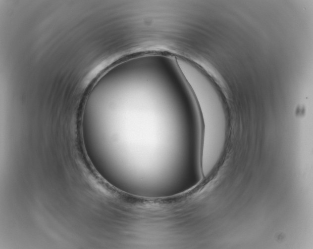 X0000091850834200709050934