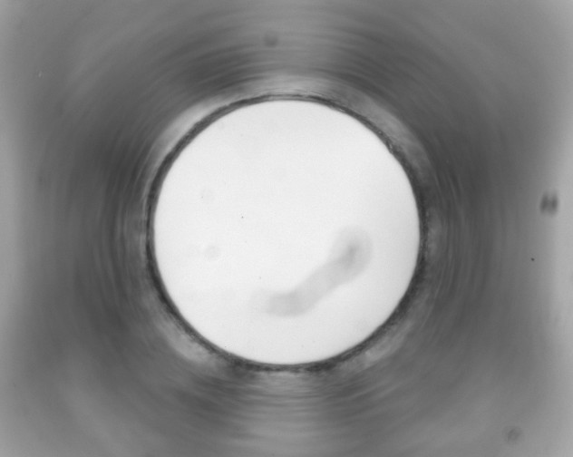 X0000091850836200709050934