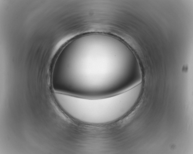 X0000091850838200709050934