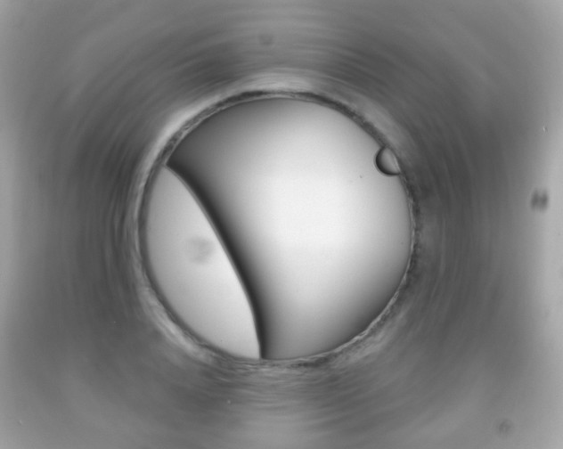 X0000091850840200709050934
