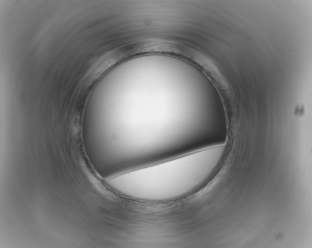X0000091850841200709050934