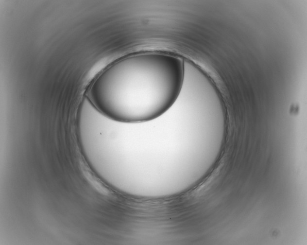 X0000091850842200709050934