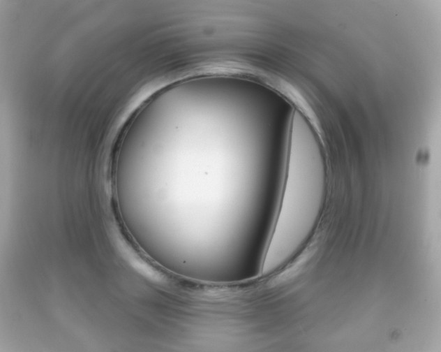 X0000091850843200709050934