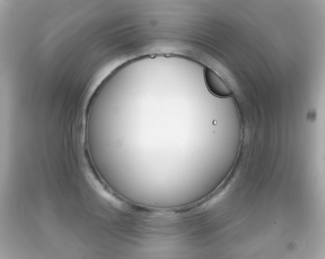 X0000091850844200709050934