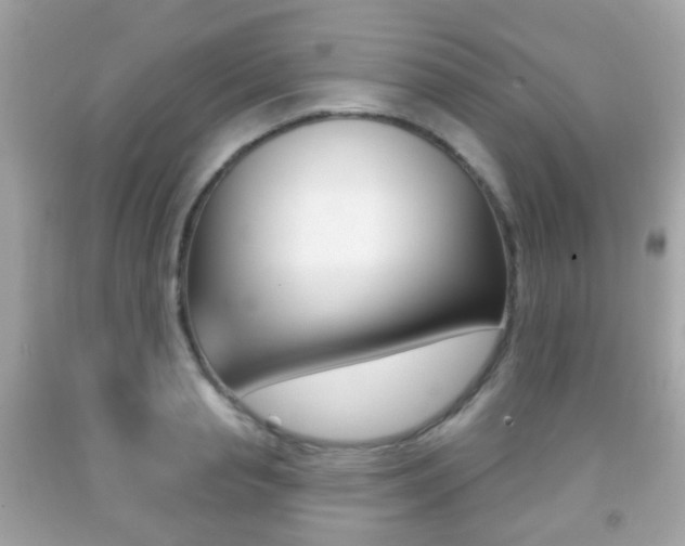 X0000091850845200709050934