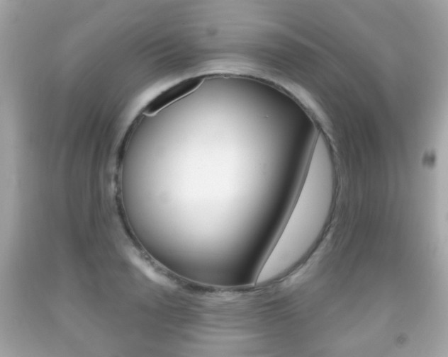 X0000091850846200709050934