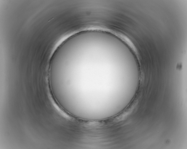 X0000091850847200709050934