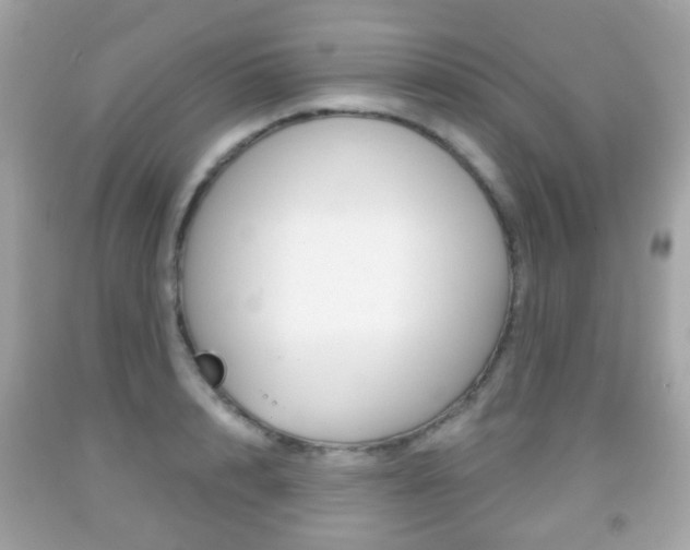 X0000091850848200709050934