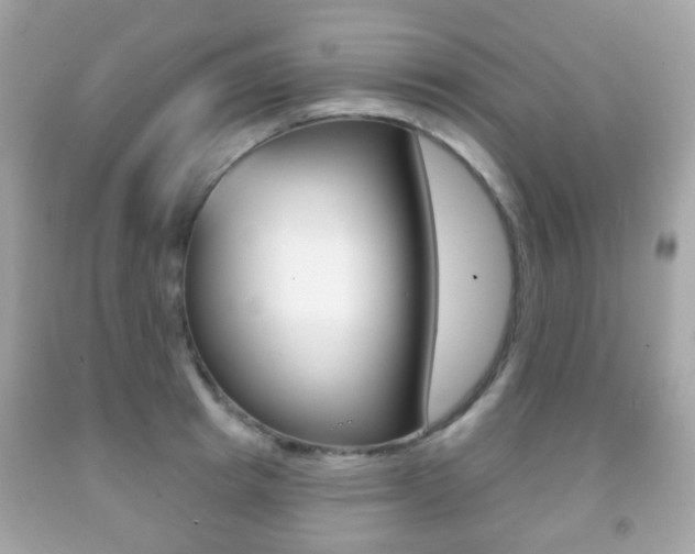 X0000091850849200709050934