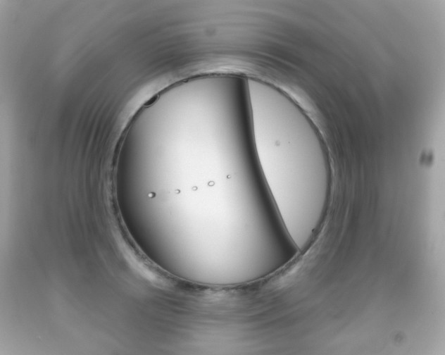 X0000091850850200709050934