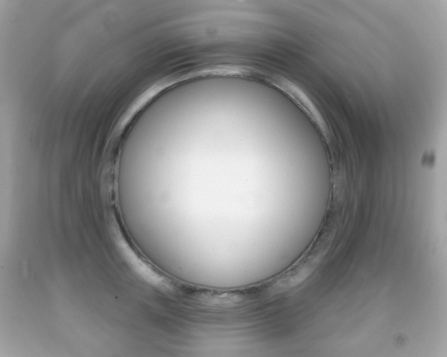 X0000091850851200709050934