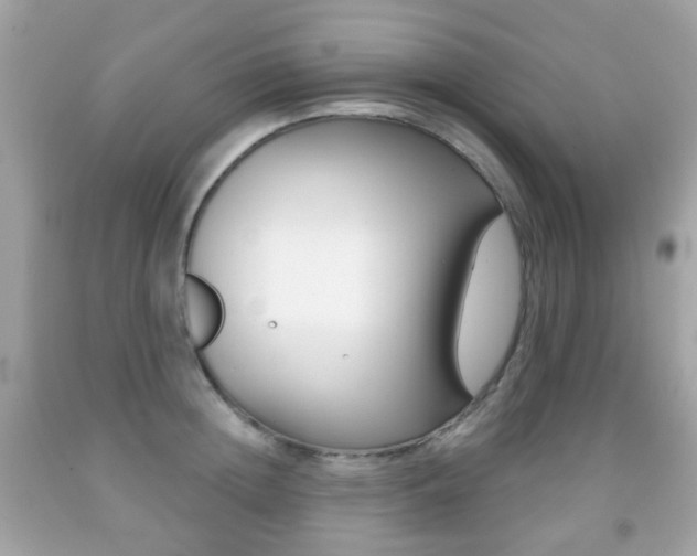 X0000091850852200709050934
