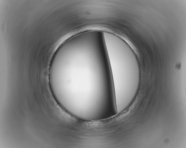 X0000091850853200709050934