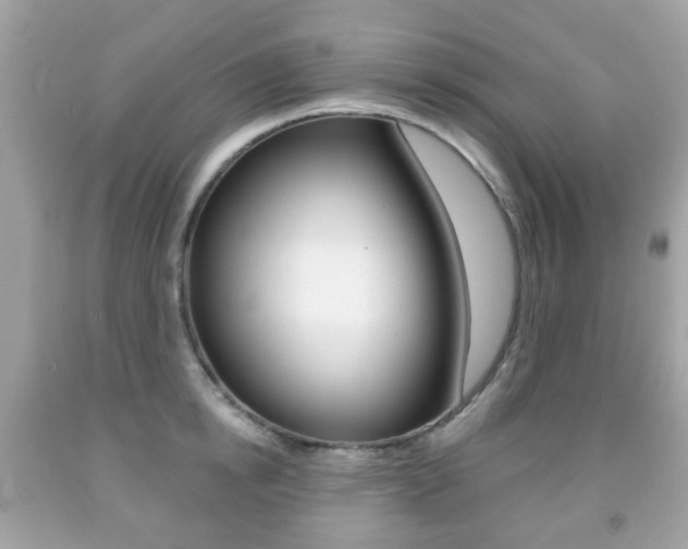 X0000091850854200709050934