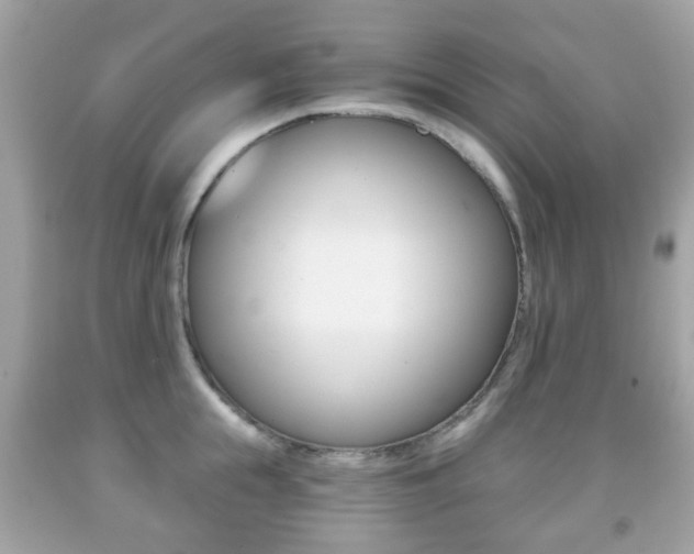 X0000091850855200709050934
