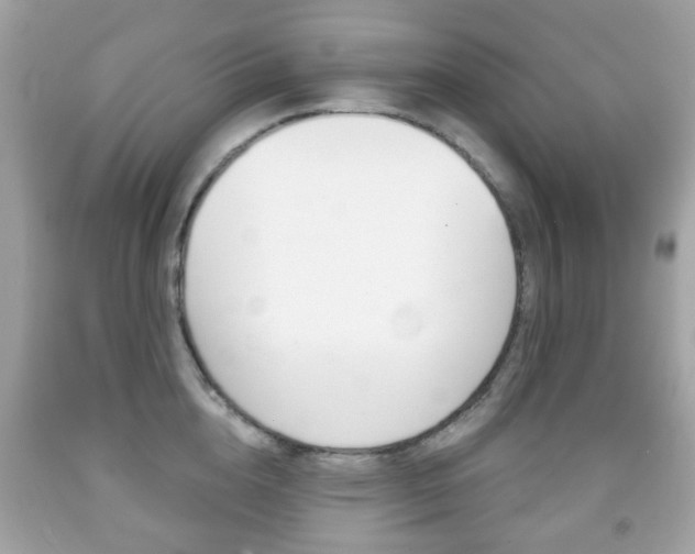 X0000091850856200709050934