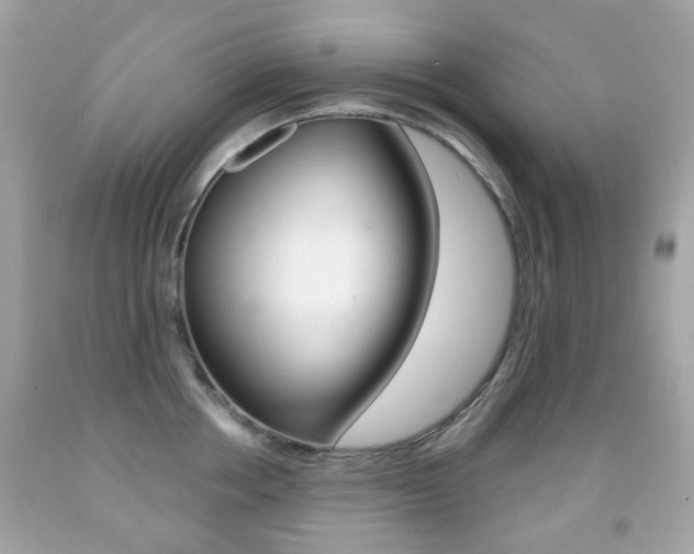 X0000091850858200709050934