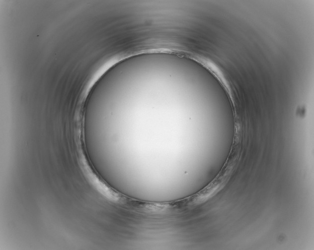 X0000091850859200709050934