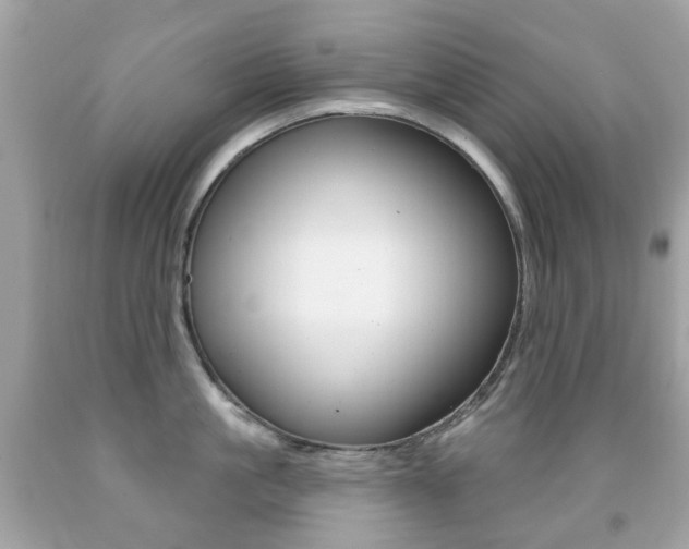 X0000091850861200709050934