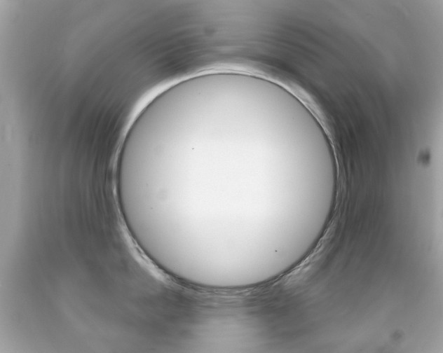 X0000091850862200709050934