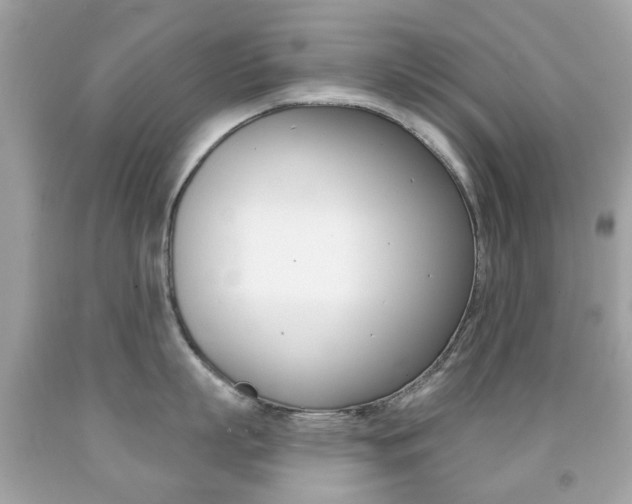 X0000091850863200709050934