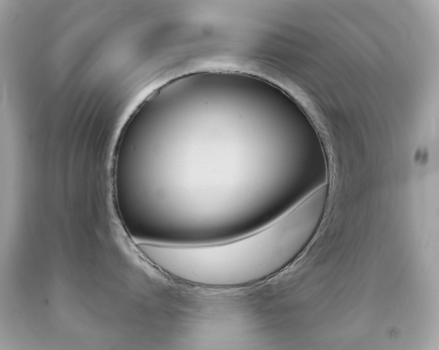 X0000091850864200709050934