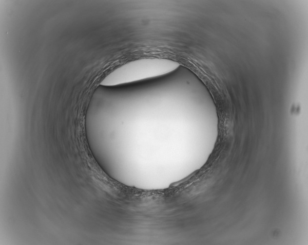 X0000091850865200709050933