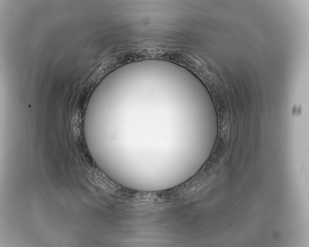 X0000091850866200709050933