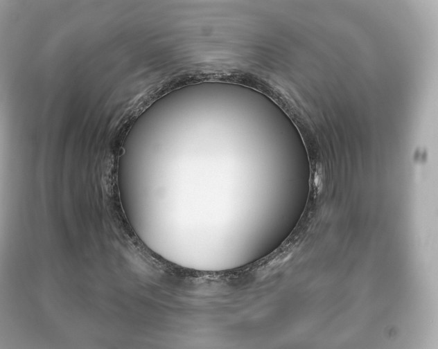 X0000091850867200709050933