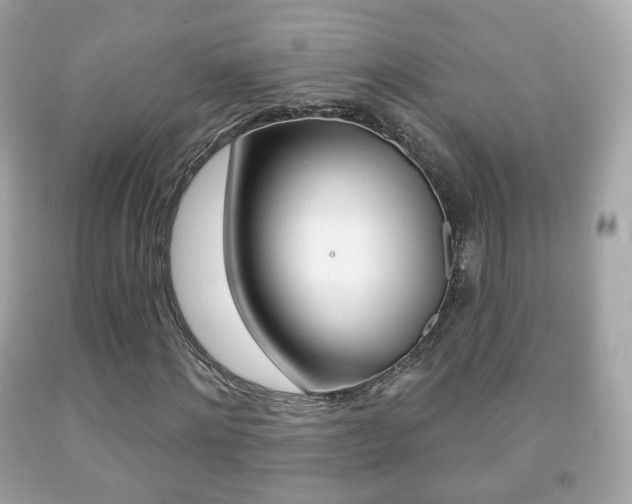 X0000091850868200709050933
