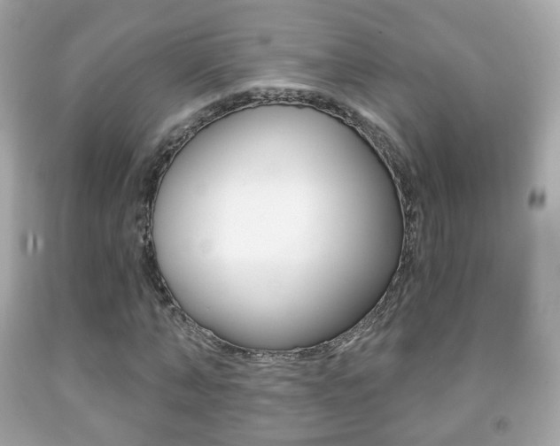 X0000091850870200709050933