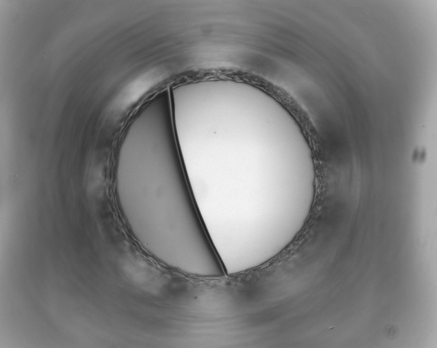 X0000091850871200709050933
