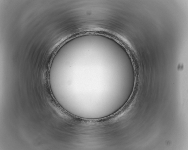 X0000091850873200709050933