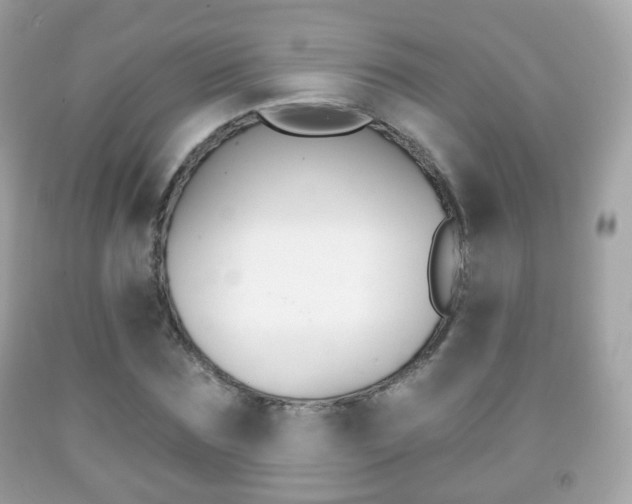 X0000091850875200709050933